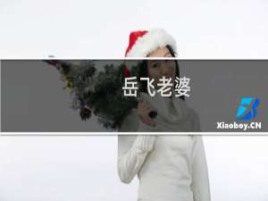 岳飞老婆，岳飞的妻子，岳飞有几个老婆？