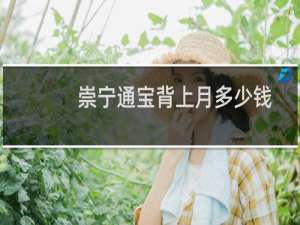 崇宁通宝背上月多少钱