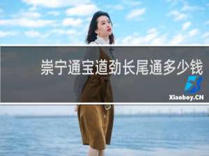 崇宁通宝遒劲长尾通多少钱