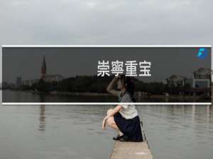 崇寧重宝.2016多少钱