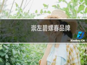 崇左碧螺春品牌