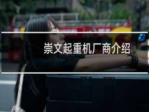 崇文起重机厂商介绍