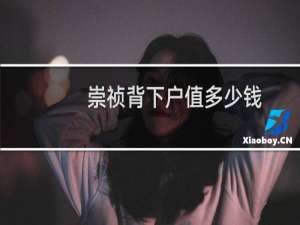 崇祯背下户值多少钱
