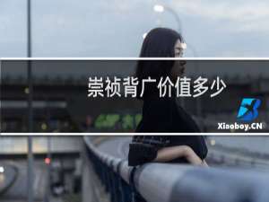 崇祯背广价值多少