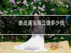 崇贞通宝背二值多少钱