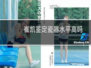 崔凯鉴定瓷器水平高吗