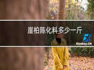崖柏陈化料多少一斤