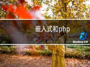 嵌入式和php