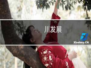 川发展 招聘