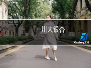 川大银杏