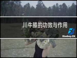 川牛膝的功效与作用