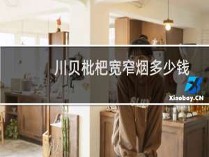 川贝枇杷宽窄烟多少钱