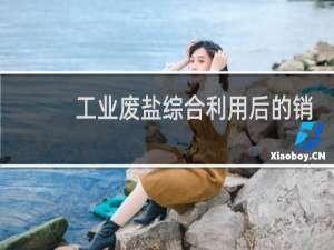 工业废盐综合利用后的销路