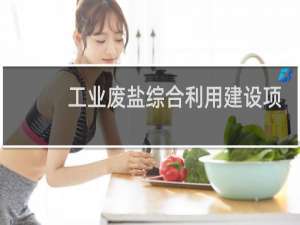 工业废盐综合利用建设项目环境影响报告