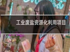 工业废盐资源化利用项目