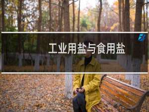 工业用盐与食用盐