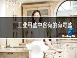 工业用盐中含有的有毒盐是什么