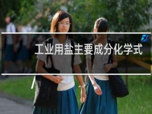 工业用盐主要成分化学式