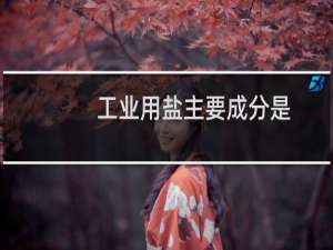 工业用盐主要成分是