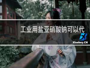 工业用盐亚硝酸钠可以代替食盐用于烹饪吗