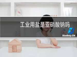 工业用盐是亚硝酸钠吗