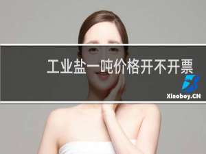 工业盐一吨价格开不开票