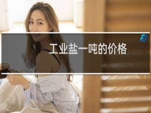 工业盐一吨的价格
