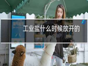工业盐什么时候放开的