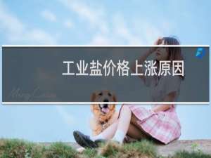 工业盐价格上涨原因