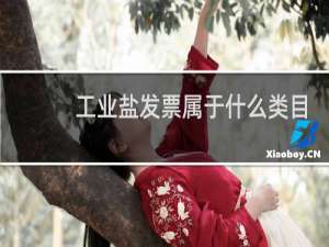 工业盐发票属于什么类目