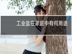 工业盐在家庭中有何用途