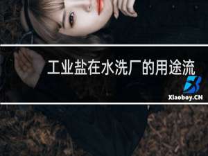 工业盐在水洗厂的用途流程