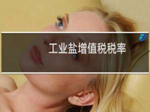 工业盐增值税税率