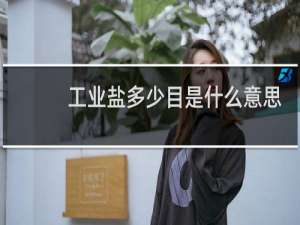 工业盐多少目是什么意思