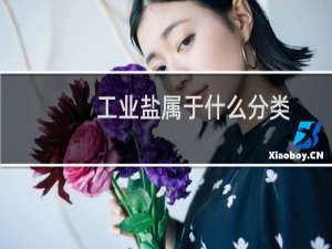 工业盐属于什么分类