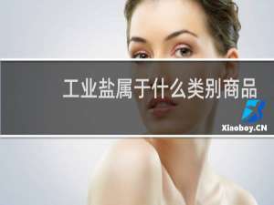 工业盐属于什么类别商品