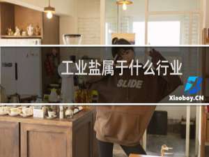 工业盐属于什么行业