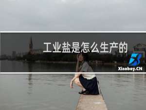 工业盐是怎么生产的
