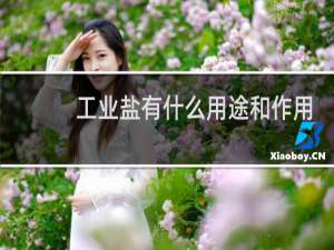 工业盐有什么用途和作用