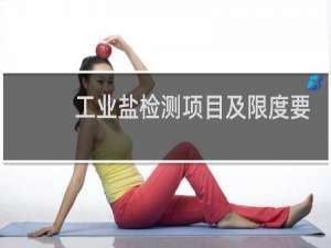 工业盐检测项目及限度要求