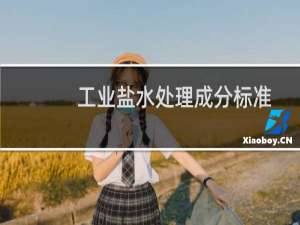 工业盐水处理成分标准