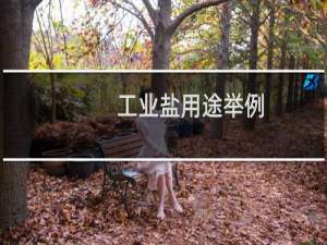 工业盐用途举例