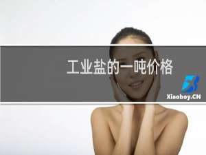 工业盐的一吨价格