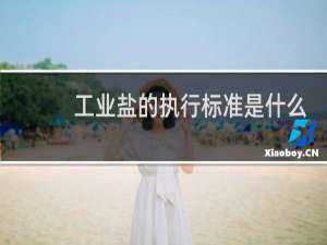工业盐的执行标准是什么