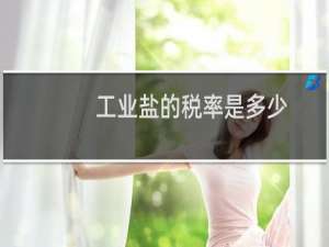 工业盐的税率是多少
