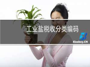 工业盐税收分类编码