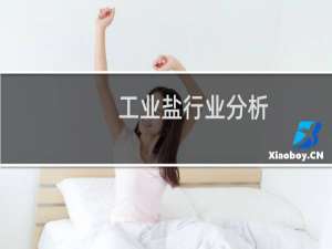 工业盐行业分析