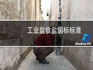 工业盐食盐国标标准