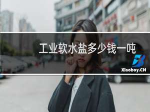 工业软水盐多少钱一吨