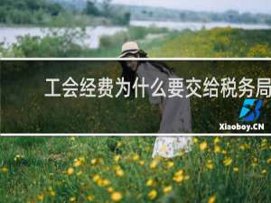 工会经费为什么要交给税务局